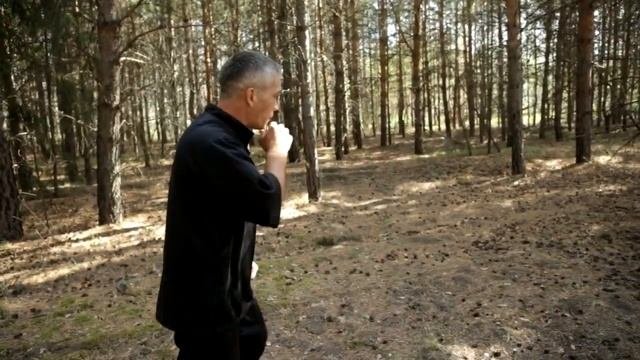 Отрабатываю некоторые связки во время отработки боя с тенью