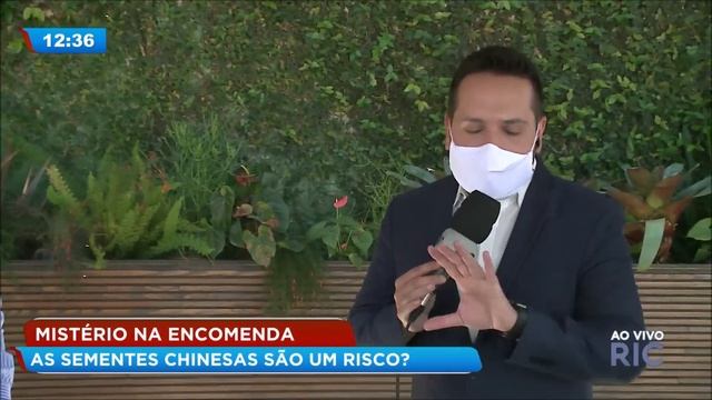 Mulher plantou sementes misteriosas da China que estão chegando pelos correios