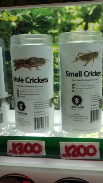 Торговый автомат по продаже сушеных насекомых в Японии. 自動販売機 Vending machine that sells dry insect