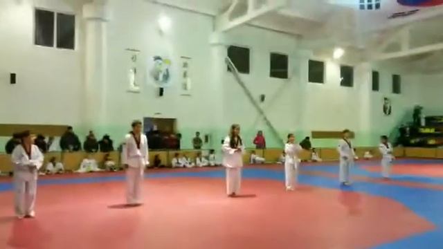 Влад сдает экзамен по тайквандо
