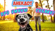 Анекдот про умную собаку