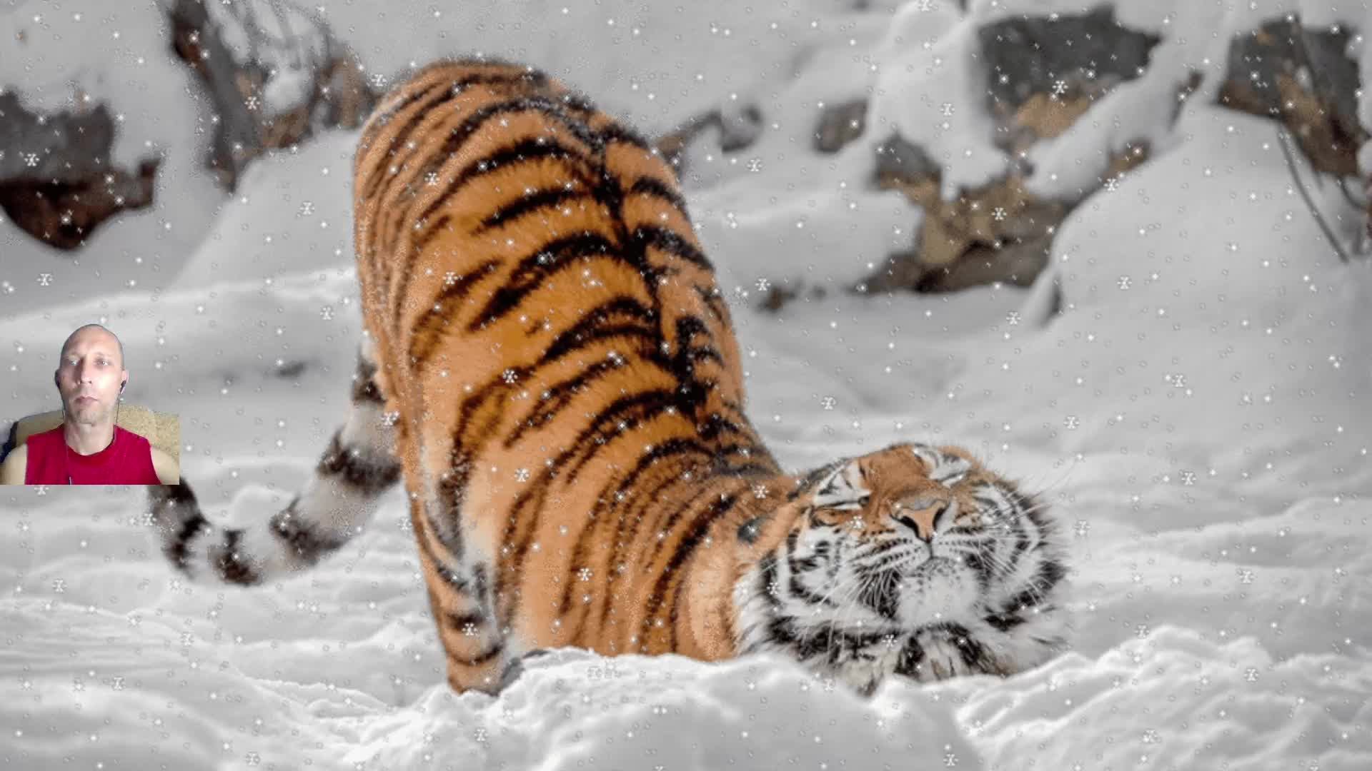 Учимся занова играть в Варзон