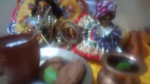 Tulsi Maa 🙏 ki Puja🌺🌺||Anita's Vlogs