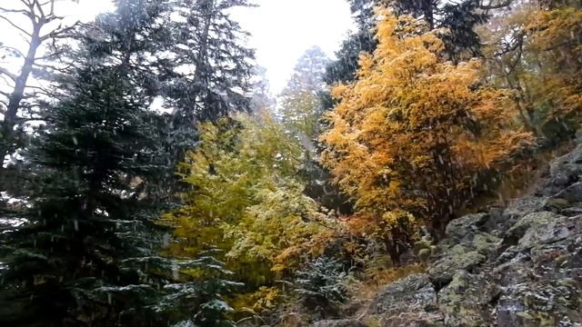 Осенний снег в Домбае