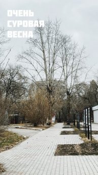 Суровая весна