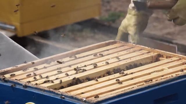 Работа пасечника 2!
