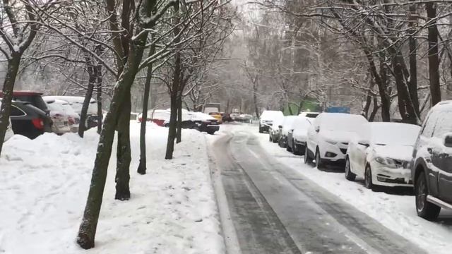 ❄️286❄️ Снег ❄️❄️❄️Зимнее настроение❄️❄️❄️