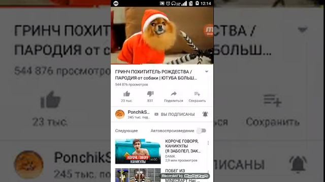 Мой любимый канал пончик ШОУ