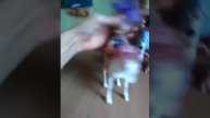 15 октября 2016 г.