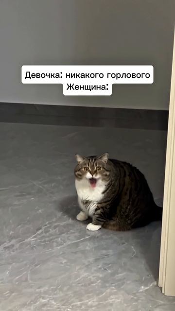 Ты знаешь кому переслать💌