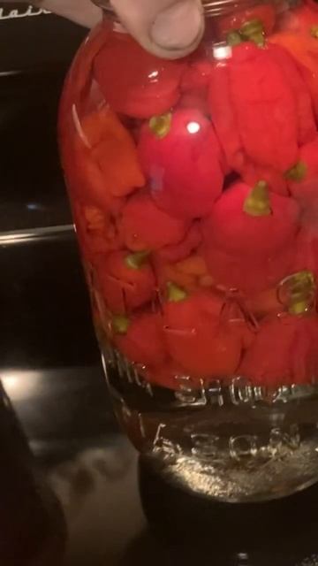 Some peppers I grew this season!