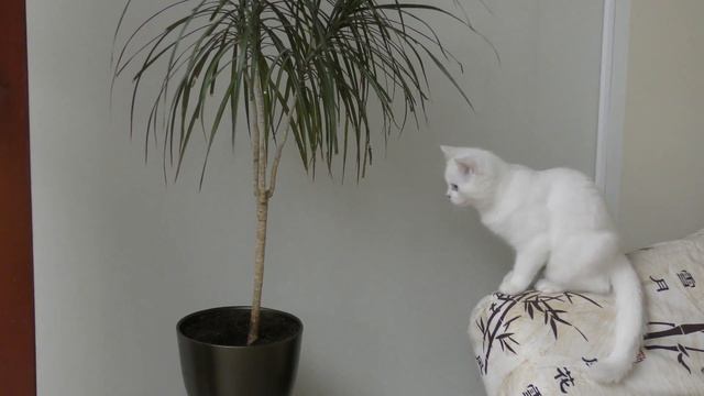 ЗАЛ ДЛЯ ЗАНЯТИЙ    НА ВРУБЕЛЯ 8