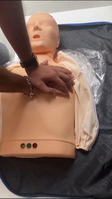 Strategic Solution''''s Half Body CPR Training Manikin | Available on IndiaMART
