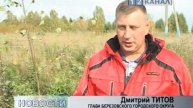 Березовая роща для Березовского