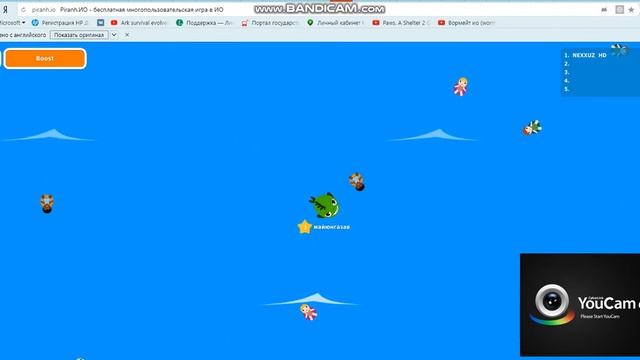пиранья ио №2