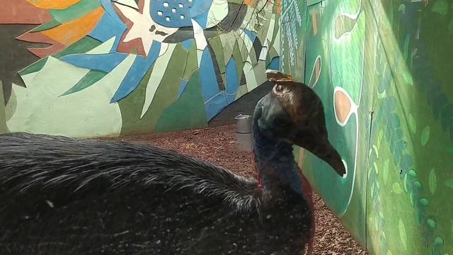 Московский зоопарк