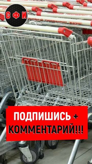 Москвич украл 180 тележек из магазина на 1,7 миллиона рублей