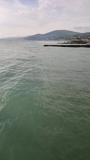 побережье чёрного моря