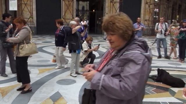 Итальянский калейдоскоп. Неаполь. Пёс Гомер.
