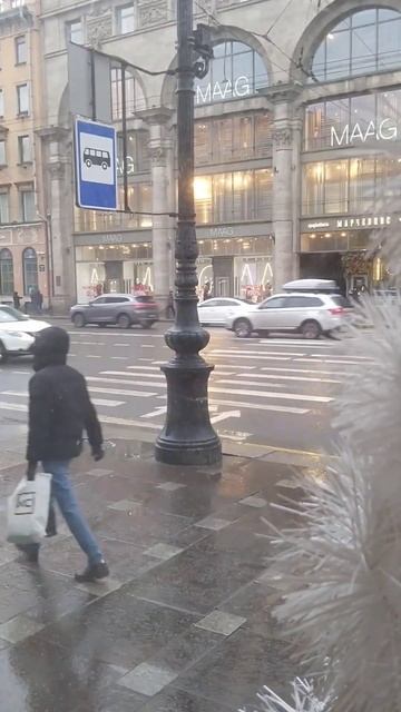 Жизнь Невского проспекта #таймлапс #питер #спб #россия #город #суета #санктпетербург #прогулка