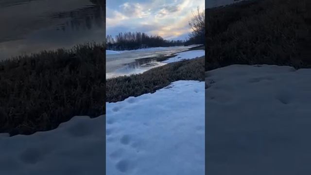 25-04-2025 ДОМ ДЛЯ ДИКИХ УТОК