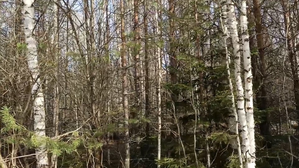 25-04-2025 Влог💥приехал внучек 💥гуляли💥отдыхали на огороде