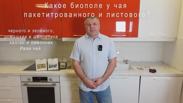 Биополе чая черного, Иван чая, ромашка, шиповник, калган, лимонник, маралий корень