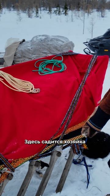 Какие бывают нарты у оленеводов? Часть 1. Женские