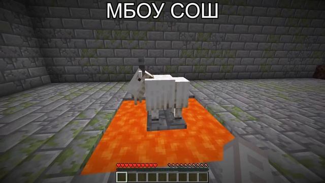 физкультура в разных школах