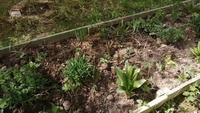 25-04-2025 наш дом 21 д. Жилетово