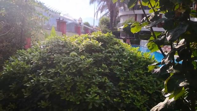 Konyaaltı, Hurma, today's weather.#Antalya#konyaalti#weather