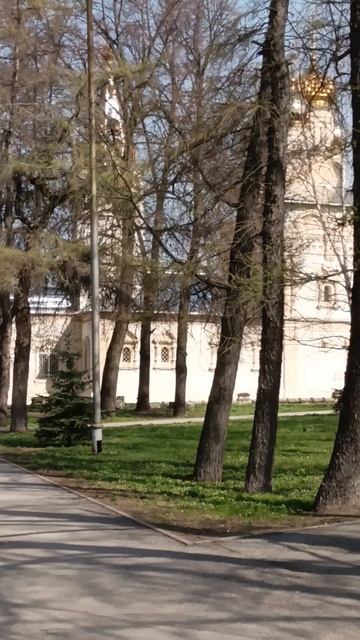 Все в цветочках