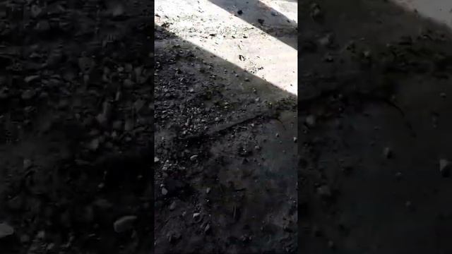Заброшенный цех завода газ