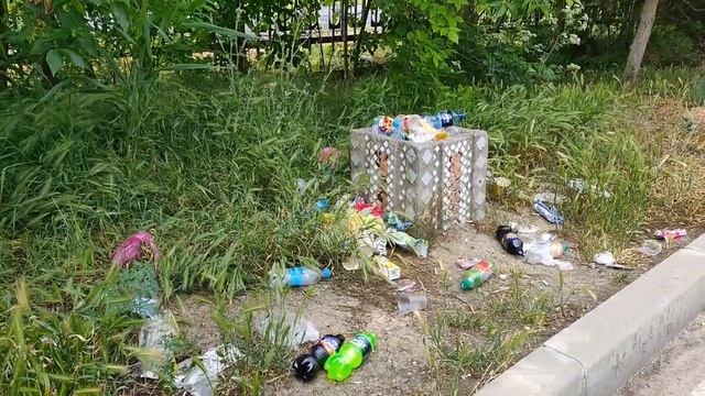 Свинарник возле стадиона "Альбатрос" пгт Приморский