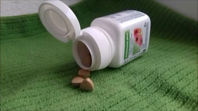 Echinacea Plus   audio