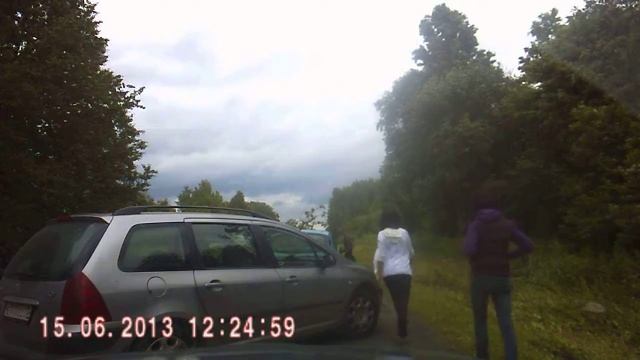 падающее дерево с 1.10