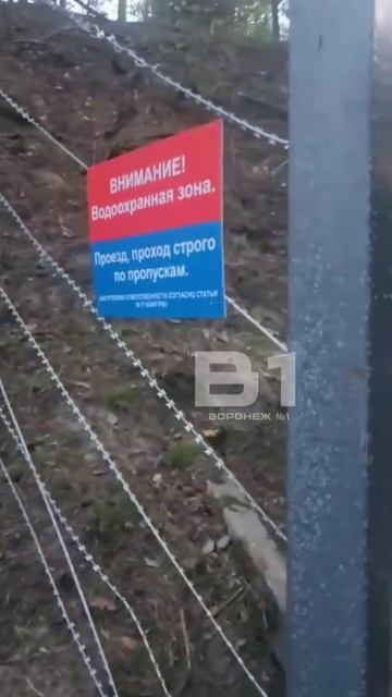 ЗАПУТАЛСЯ В СЕТЯХ: в Репном лось запутался в проволоки, которую установила РВК. Животное погибло.