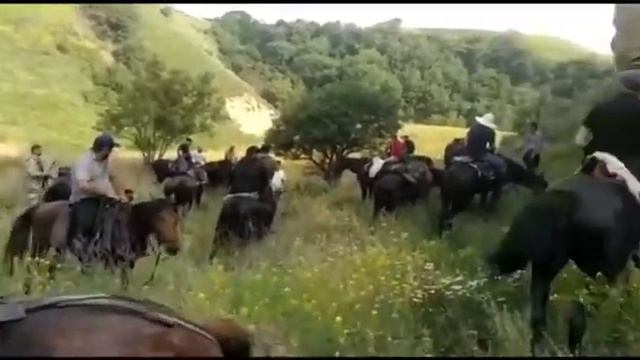 ПРОГУЛКА НА ЛОШАДЯХ