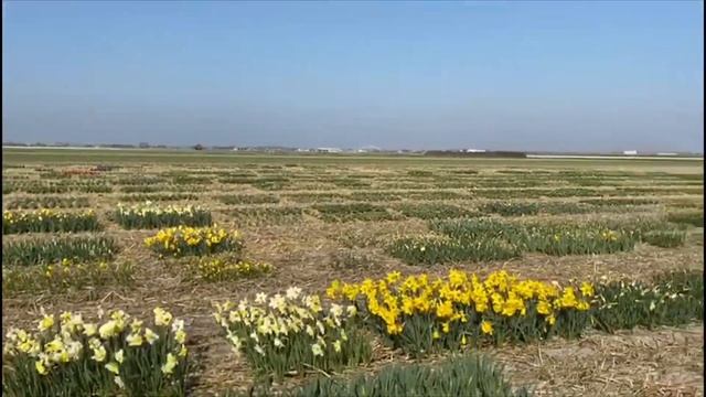 CNB Floratuin eind maart 2020