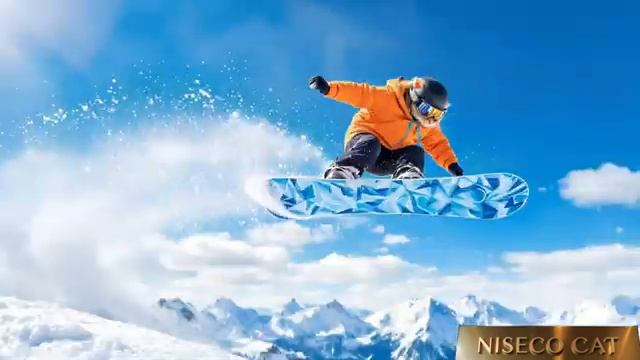 ❄️🐾Кошки в лыжном курорте ZAO в Японии🎿 - Смешные кошки, делающие человеческие вещи🐱