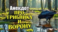 Анекдот про грибника и ворону. Новый, Смешной анекдот.