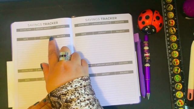 Clever Fox Monthly Budget Planner/ Easy Budgeting For Beginners/ First Impression Review.