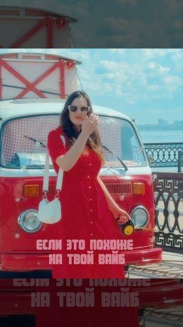 Кавалер Кинг Чарльз спаниель ( для телека)
