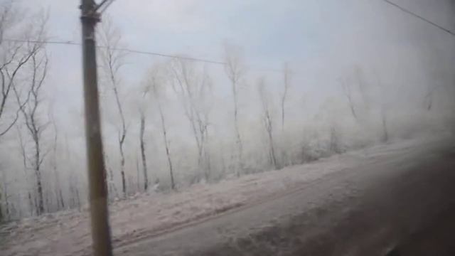 На Харьков в электричке, посадка на дрова, редкая, в красивом инее