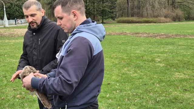 В "День Земли" в Петербурге выпускали на волю вылеченных птиц (5)