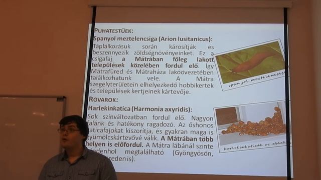Mátravidék özönállatai és növényei (Kutatók éjszakája)