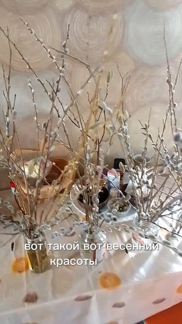 привезли из леса весенней красоты