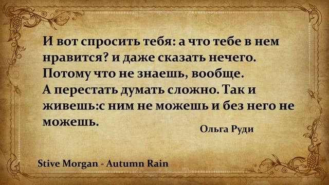 Stive Morgan GIF