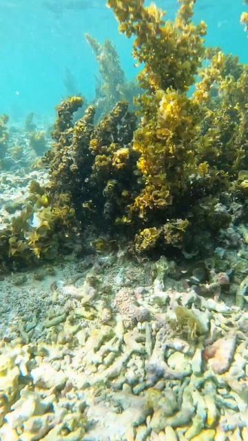 танцы под водой