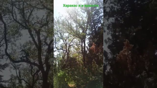 Санаторий Днепр. Харакас.